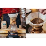 CHEMEX Karaf - 3 cup + AJÁNDÉK / Barshaker Coffee Roasters - Frissen Pörkölt Kávé ( 250g )